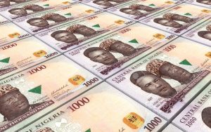 42923834-nigerian-nairas-bills-stacks-background-