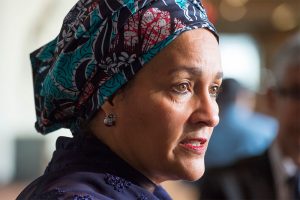 Amina Mohammed