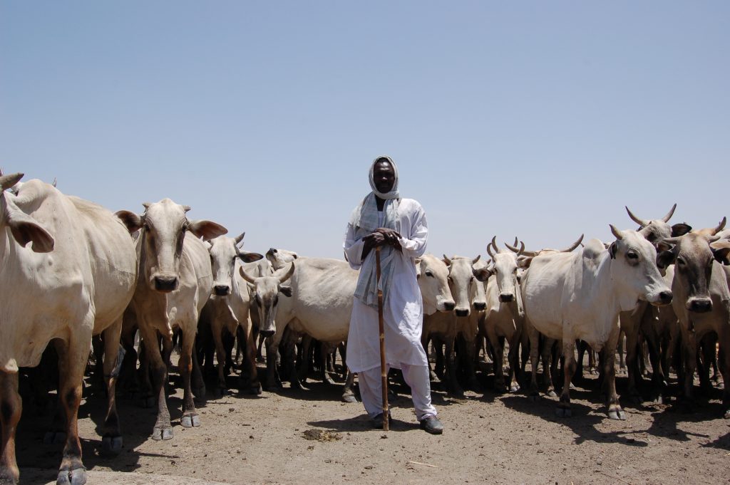 Cattle-herders-Kosti-area