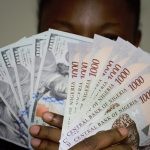 DollarandNaira_TheCable-10