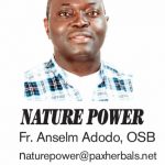 NATURE POWER – FR ANSELM ADODO