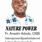 Nature Power – Fr Anselm Adodo