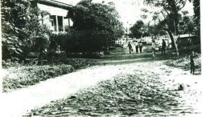 OGBEOSOWE-MASS-GROUND