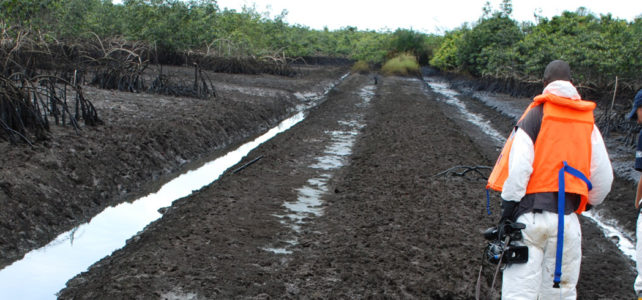 OgoniCleanupPollution-642×300