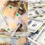 naira-dollars-