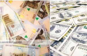 naira-dollars-