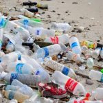 plastic-bottles-beach-rubbish-696×522