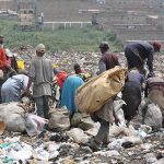 scavengers