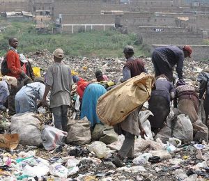 scavengers