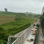 train crush