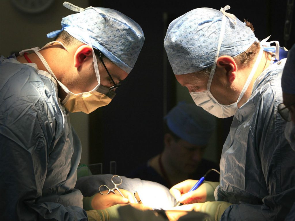 wd-organ_transplant