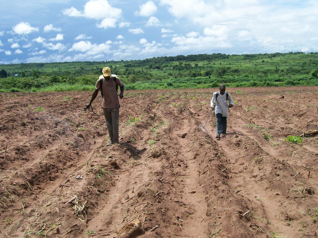 Dangers of herbicides and other chemicals