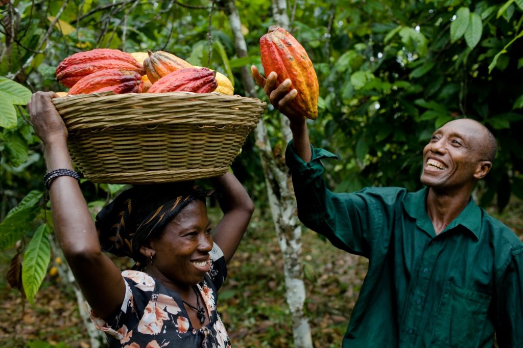 Cocoa farmers pledge to support Edo APC