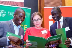Foundation on education pix