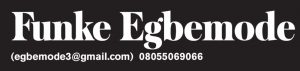Funke Egbemode column