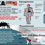 Zika-Virus