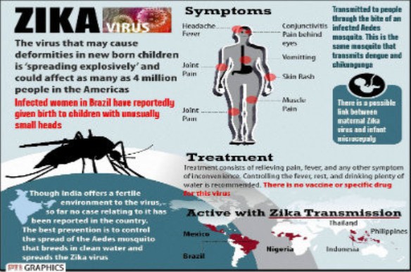 Zika-Virus