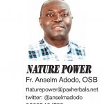 NATRE POWER FR. ANSELM ADODO