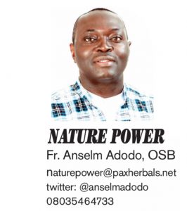 NATRE POWER FR. ANSELM ADODO