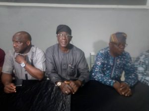 Ogun-APC-primaries-national-committee