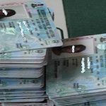PVCs-Customs-INEC1