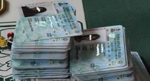 PVCs-Customs-INEC1