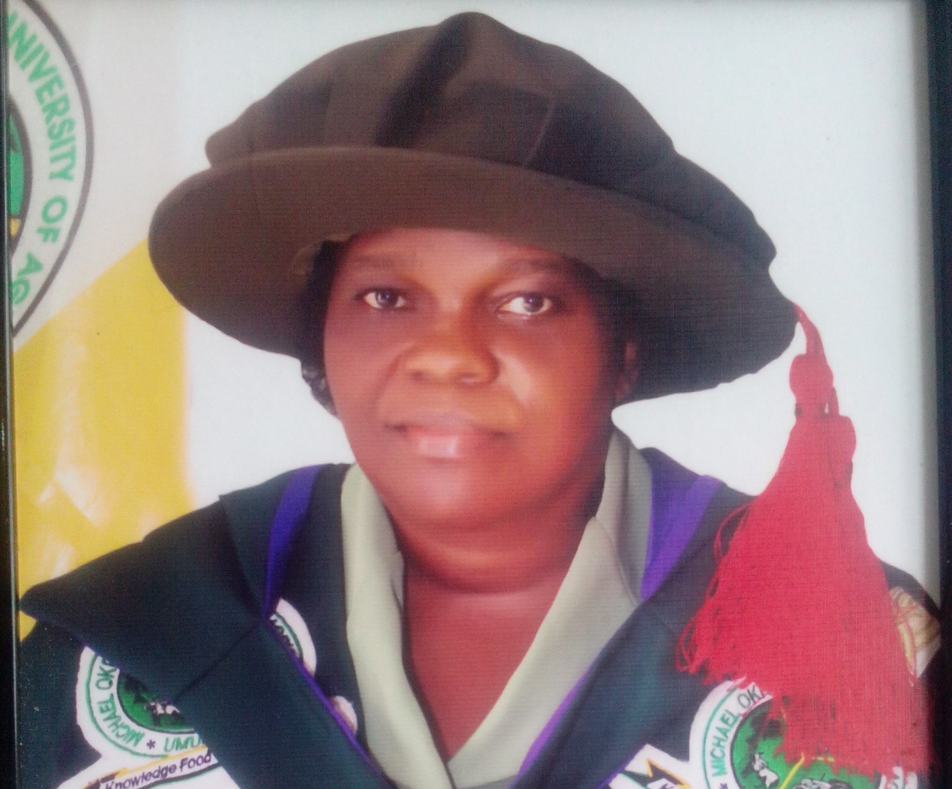Prof-Joy-Nwabueze
