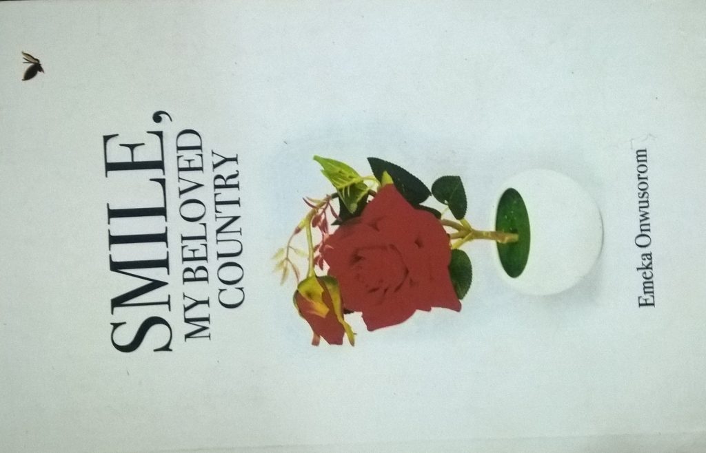 Smile book cover