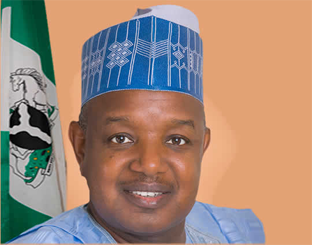 Bagudu (1)