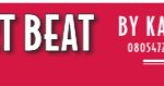 heart beat by kate halim