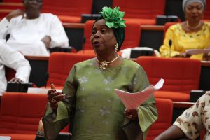 Senator Biodun Olujimi, Senate Minority Leader