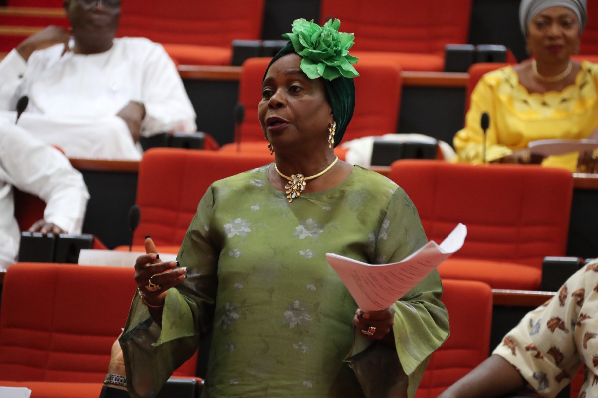 Senator Biodun Olujimi, Senate Minority Leader