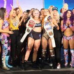 rousey-lynch-evolution-wwe