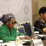 FG to borrow $2.8bn with Euro bond