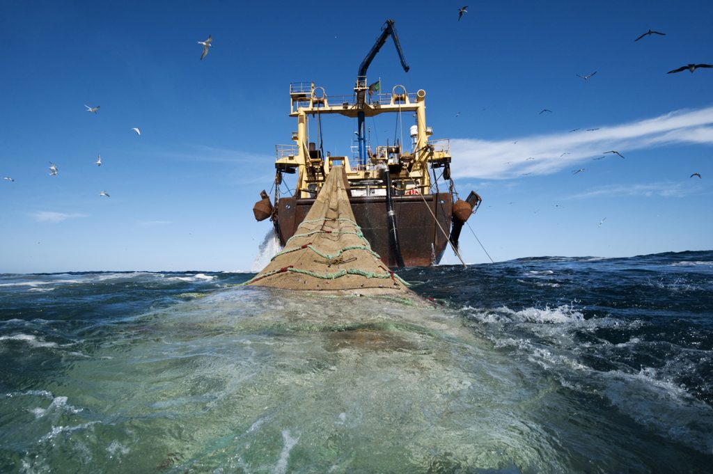 West Africa Fisheries.