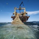 West Africa Fisheries.