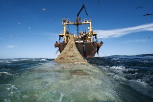 West Africa Fisheries.
