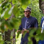 buhari, fashola