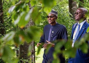 buhari, fashola
