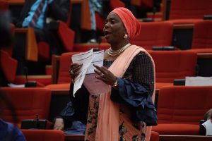 Senator Biodun Olujimi
