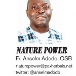 Nature Power