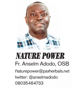 Nature Power
