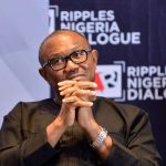 Ripples-Nigeria-Dialogue-with-Wole-Soyinka-33–1