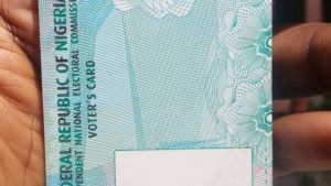 2019 and timely distribution of PVCs