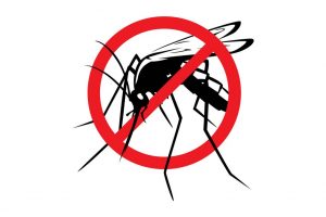 mosquito-1030×687