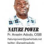 NATURE POWER