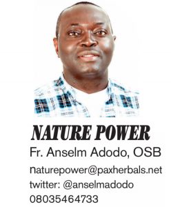 NATURE POWER