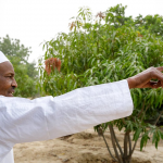 Buhari hails Nigerians for saving $21bn on food import