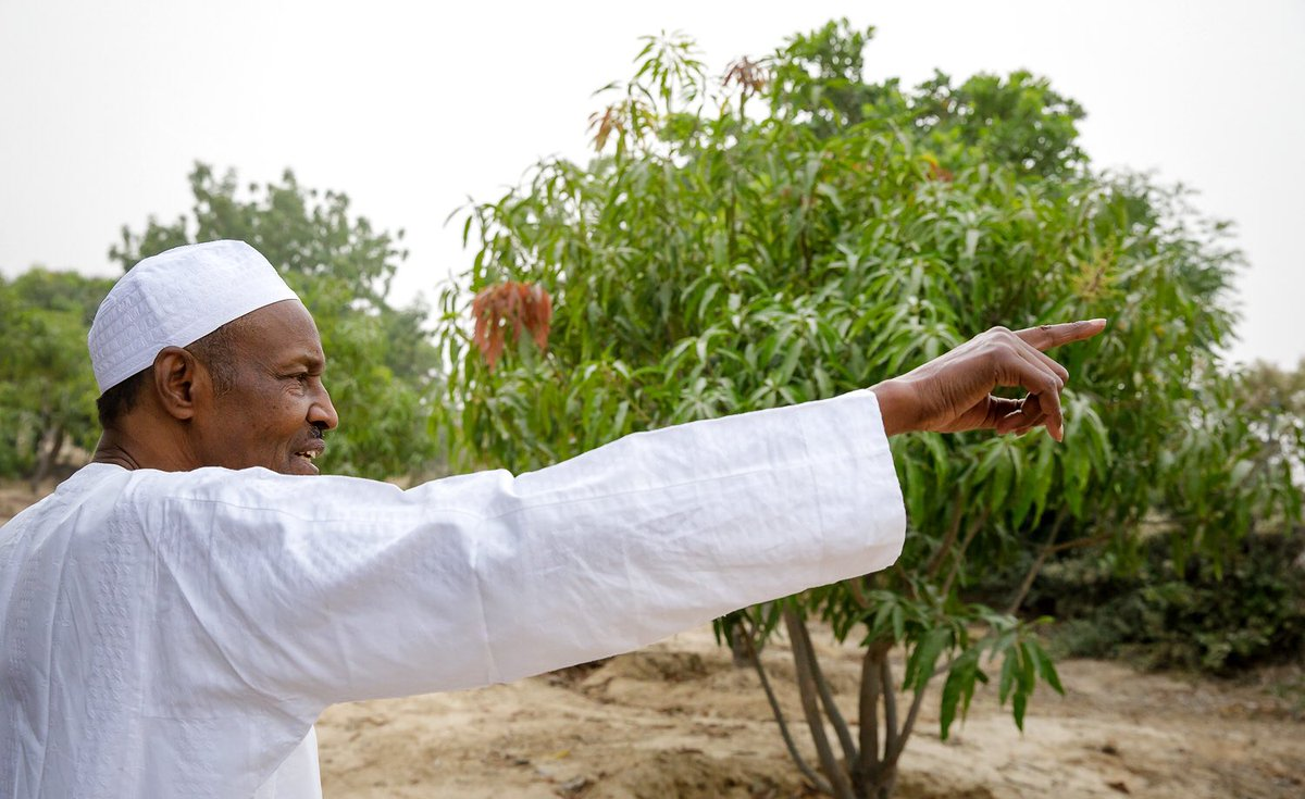 Buhari hails Nigerians for saving $21bn on food import