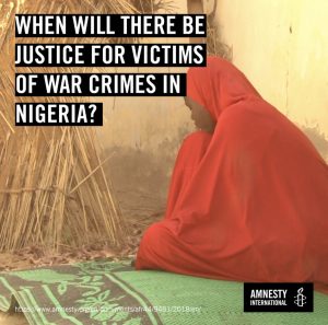 Amnesty urges ICC to probe Boko Haram atrocities